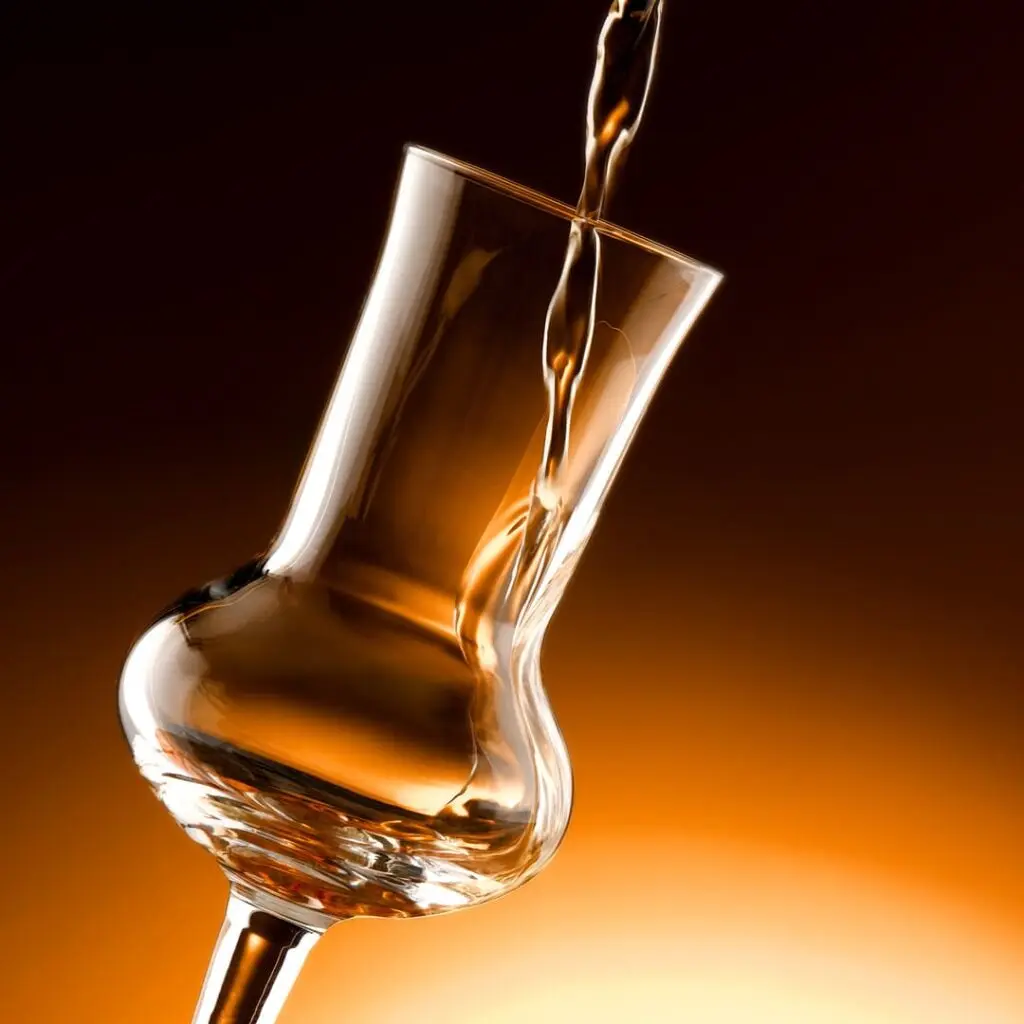 History of Grappa