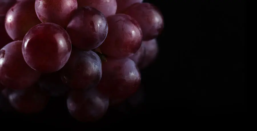 Port Wine Grapes