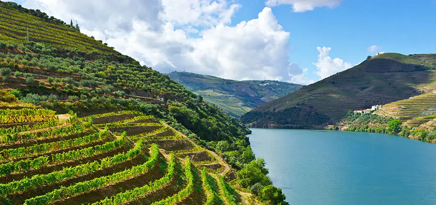 Port Wine Region The Douro Valley