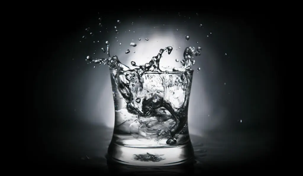 Vodka Glas
