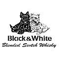 Black & White whisky Kopen? Bij Tasting Collection vind je de beste whisky
