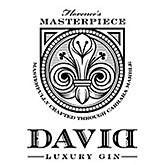 David Gin