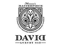 David Gin