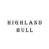 Highland Bull