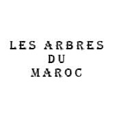 Les Arbres du Maroc