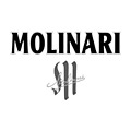 Molinari likeur Kopen? Bij Tasting Collection vind je de beste likeur