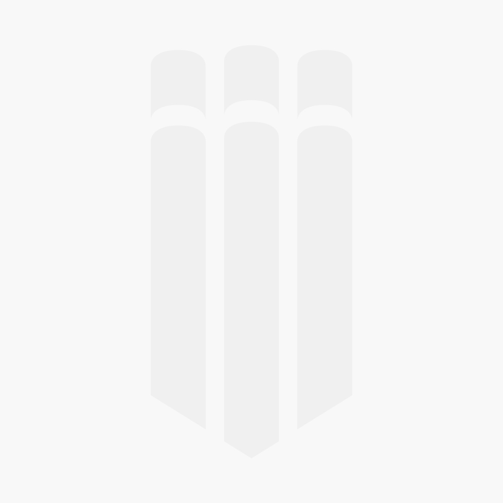 Whisky.nl Bowmore 12Y